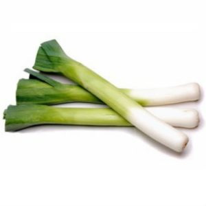 Semilla de cebolla blanca Nebuka