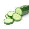 Semilla De Pepino Hortalizas Cultivo Huerta