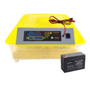 Máquina Incubadora 48 Huevos Automática