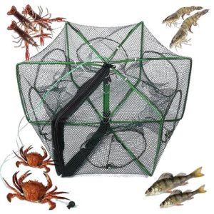 Red Pesca Trampa Exagonal