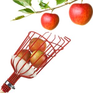Recolector Manual De Frutas