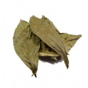 Ayahuasca En Hoja 40 Gr.