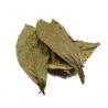 ayaguasca_en_hoja_la_cobacha_1