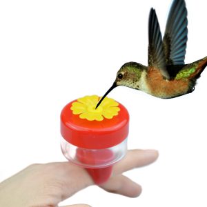 Bebedero Anillo Picaflor Colibri