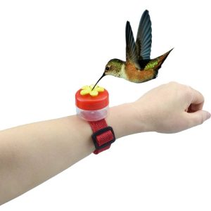 Mini Bebedero Colibrì De Mano Con Correa Ajustable
