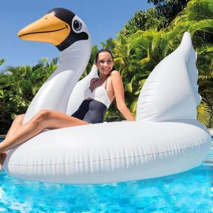 Inflable Piscina Cisne Grande 190*190*130CM