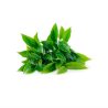 insulina_en_hoja_la_cobacha_3