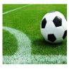 semilla de cesped sintetico jardin canchas deportivas futbol la cobacha el quinche