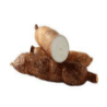 yuca
